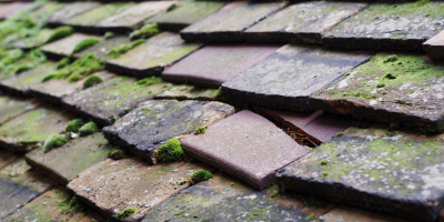Dundry roof repair costs